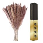 Natural Brown Dried Pampas Grass (30 Stems, 18