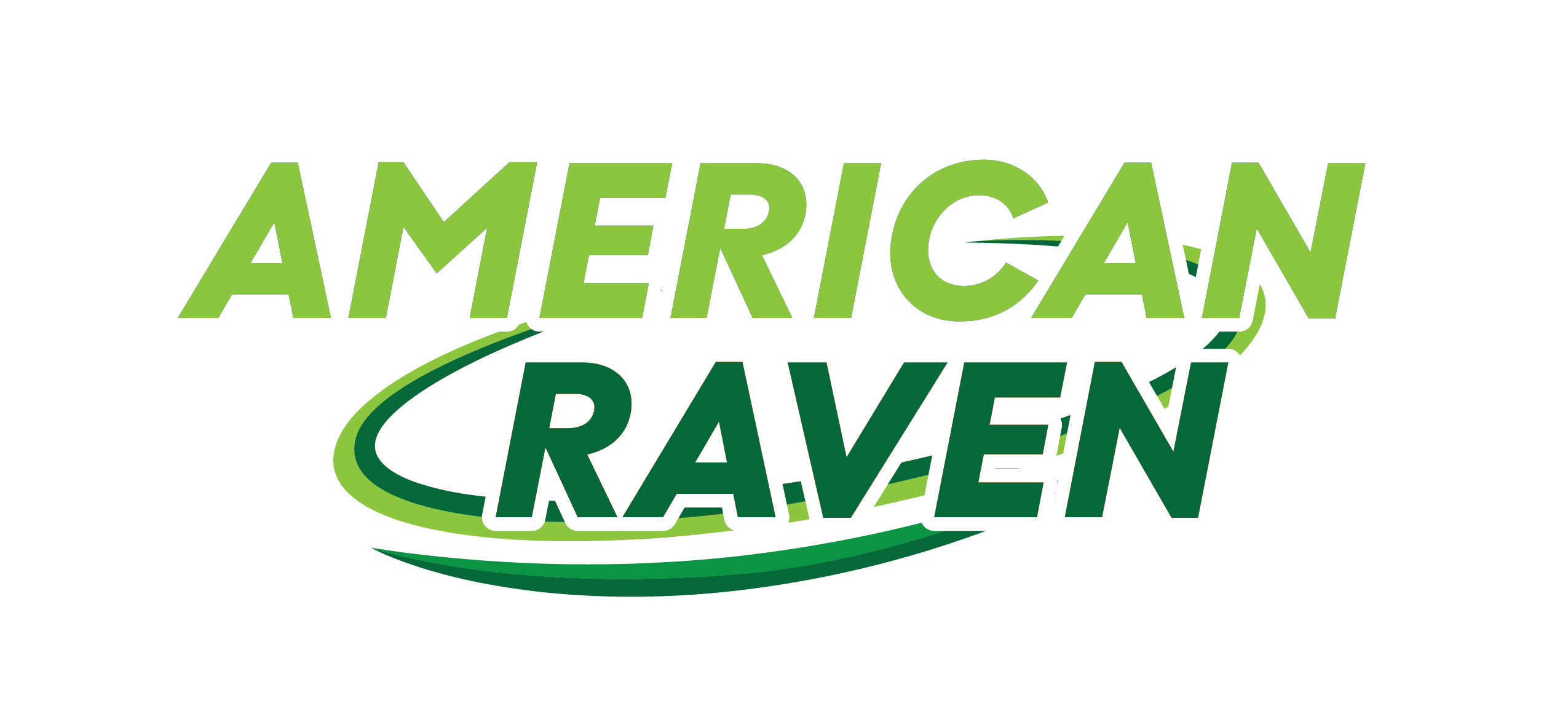 American Raven